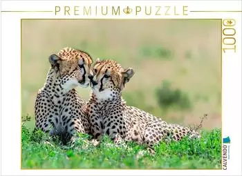 Calvendo Geparden - Seelenverwandte der Wildnis Foto-Puzzle 1000 Teile 64x48cm