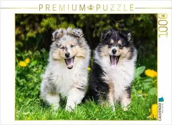 Calvendo Puzzle "7 Wochen alte Welpen" 1000 Teile 64&times;48cm