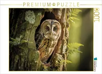 Calvendo Puzzle &bdquo;Magie zwischen den B&auml;umen, n&auml;chtliche Naturkraft" 1000 Teile 64x48cm