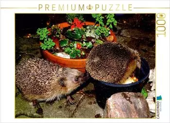 Calvendo Puzzle 