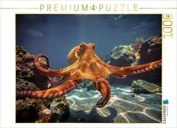 Calvendo Puzzle &bdquo;Die wahren Meister des &Uuml;berlebens denken anders." 1000 Teile, 64x48cm