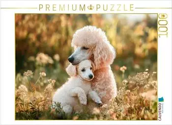 Calvendo Puzzle "Zarte Umarmung in der Natur" 1000 Teile 64x48cm