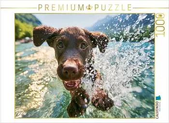 Calvendo Puzzle &bdquo;Platsch! So geht Sommer" 1000 Teile 64&times;48cm