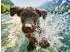 Calvendo Puzzle „Platsch! So geht Sommer