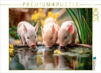 Calvendo Puzzle &bdquo;Ferkelgl&uuml;ck" 1000 Teile, 64&times;48cm