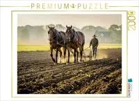 CALVENDO Puzzle Mehr PS geht nicht - echte Pferdest&auml;rken. 2000 Teile Lege-Gr&ouml;&szlig;e 90