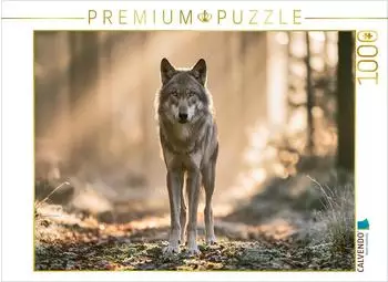 Calvendo Puzzle &bdquo;Die Seele des wilden Waldes" 1000 Teile, 64&times;48cm