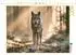 Calvendo Puzzle „Die Seele des wilden Waldes