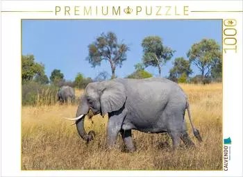 Calvendo Puzzle &bdquo;Afrikanischer Elefant, Okavango Delta, Botswana" 1000 Teile, 64x48cm