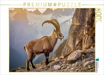 Calvendo Puzzle "Deutschlands beeindruckendste Tiere im Fokus" 1000 Teile 64x48cm