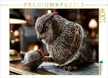 Calvendo Puzzle &bdquo;Planeteneule", 1000 Teile, 64&times;48cm