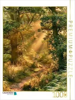 Calvendo Puzzle &bdquo;Wenn der Wald leuchtet", 1000 Teile, 64&times;48cm
