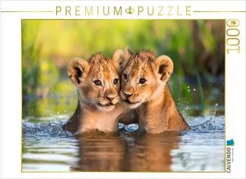 Calvendo L&ouml;wenbabys &ndash; Im Wasserparadies, Foto-Puzzle 1000 Teile, 64x48cm