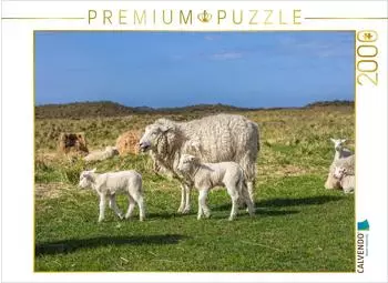 Calvendo Puzzle 