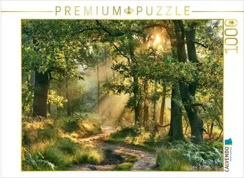 Calvendo Puzzle "Goldene Sommertage" 1000 Teile, 64&times;48cm