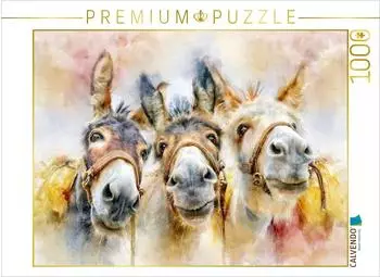 Calvendo Puzzle "Gemeinsam gut gelaunt" 1000 Teile, 64&times;48cm