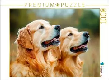 Calvendo Puzzle Golden Retriever Duo, 1000 Teile, 64&times;48cm
