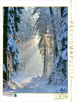Calvendo Puzzle &bdquo;Frost trifft Morgenlicht", 1000 Teile, 64&times;48cm