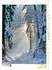 Calvendo Puzzle „Frost trifft Morgenlicht