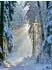Calvendo Puzzle „Frost trifft Morgenlicht