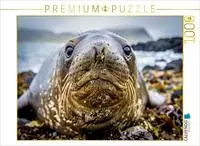 CALVENDO Puzzle Mehr Charme pro Tonne. 1000 Teile Lege-Gr&ouml;&szlig;e 64 &times; 48 cm