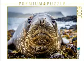 Calvendo Puzzle &bdquo;Mehr Charme pro Tonne" 1000 Teile, 64&times;48cm
