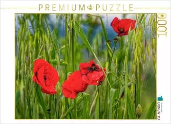 Calvendo Puzzle &bdquo;Klatschmohn im toskanischen Wind" 1000 Teile, 64x48cm