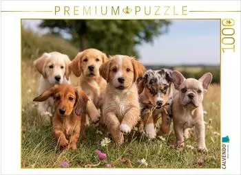 Calvendo Puzzle &bdquo;Herzklopfen auf vier Pfoten" 1000 Teile, 64&times;48cm