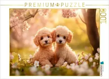 Calvendo Pudel im warmen Fr&uuml;hlingsglanz Puzzle 1000 Teile 64x48cm