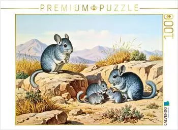 Calvendo Puzzle &bdquo;Chinchillas mit Jungtieren" 1000 Teile, 64x48cm