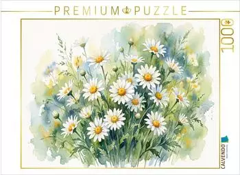 Calvendo Puzzle Margeriten 1000 Teile, 64&times;48cm