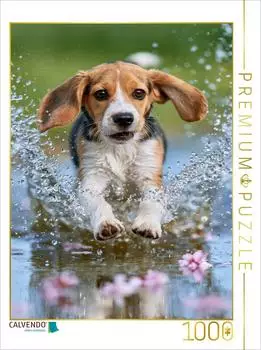 Calvendo Puzzle "Mittenrein ins Fr&uuml;hlingsgl&uuml;ck" 1000 Teile 64&times;48cm