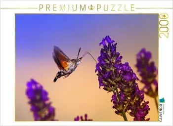 Calvendo Puzzle "Taubenschw&auml;nzchen | Der Kolibri unter den Schmetterlingen" 2000 Teile 90&times;67cm