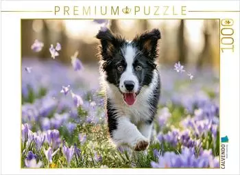 Calvendo Puzzle "Kleiner Sprung ins Gl&uuml;ck" 1000 Teile 64&times;48cm