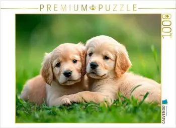 Calvendo Puzzle &bdquo;Golden Retriever Freunde f&uuml;rs Leben" 1000 Teile 64x48cm