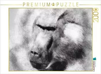Calvendo Puzzle "Der Pavian" 2000 Teile, 90&times;67cm