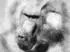 Calvendo Puzzle 