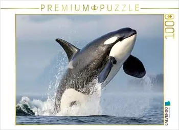 Calvendo Puzzle &bdquo;Kraftvoller Sprung aus dem Wasser" 1000 Teile, 64&times;48cm