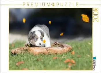 Calvendo Puzzle "Border Collie Welpe in Holzschale" 2000 Teile, 90×67cm