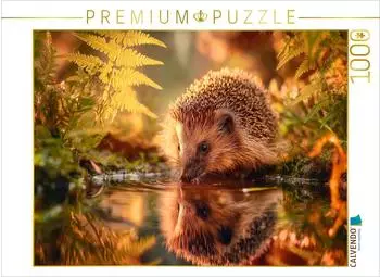 Calvendo Puzzle "Ein Schluck Sommer, der Igel stillt seinen Durst" 1000 Teile, 64x48cm