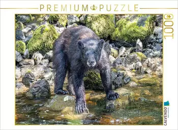 Calvendo Puzzle Schwarzb&auml;r am Wasser, 1000 Teile, 64&times;48cm