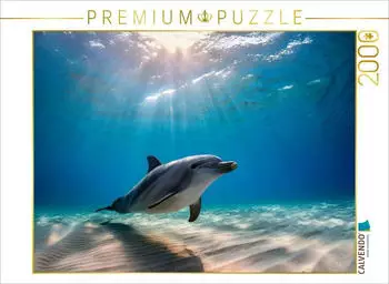Calvendo Puzzle "Delfin auf dem Boden des Meeres" 2000 Teile, 90×67cm