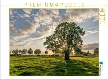 Calvendo Puzzle Rurwiese bei Orsbeck, 1000 Teile, 64&times;48cm
