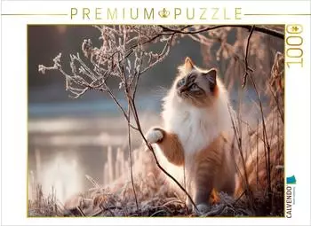 Calvendo Puzzle "Heilige Birma - Zauber des ersten Frosts" 1000 Teile, 64&times;48cm