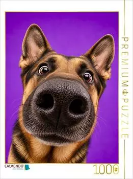 Calvendo Puzzle Deutscher Schäferhund 1000 Teile, 64×48cm