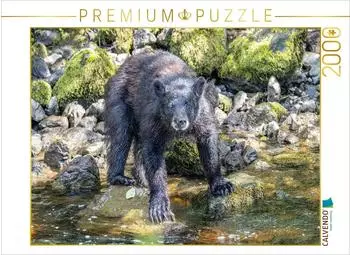 Calvendo Puzzle &bdquo;Schwarzb&auml;r am Wasser" 2000 Teile, 90&times;67cm