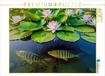 Calvendo Puzzle "Im Tanz der Seerosen" 1000 Teile, 64&times;48cm