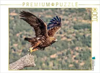 Calvendo Puzzle &bdquo;Steinadler - Kraftvoller Aufbruch" 1000 Teile, 64&times;48cm