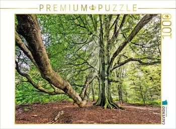 Calvendo Puzzle "Alte Buche im Urwald Sababurg, Hessen" 1000 Teile 64x48cm