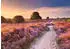 Ravensburger Beautiful Walkways Traumpfad in Rosa (12001763)